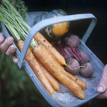 Mixed Vegetables.