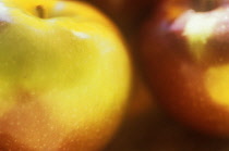 Apple, Malus domestica.