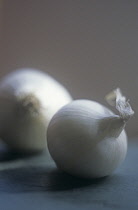 Onion, Pearl onion, Allium cepa.