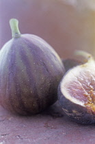 Fig, Ficus carcia.