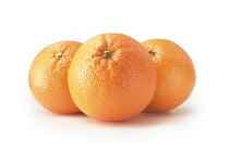 Orange, Citrus sinensis.