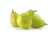 Pear, Pyrus communis.