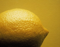Lemon, Citrus limon.