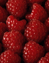 Raspberry, Rubus idaeus.