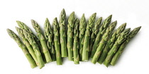 Asparagus, Asparagus officinalis.