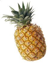 Pineapple, Ananas comosus.