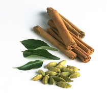 Cinnamon, Cinnamomum verum.