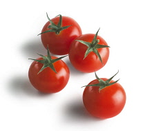 Tomato, Lycopersicon esculentum 'Gardeners Delight'.