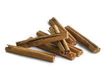 Cinnamon, Cinnamomum verum.