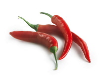 Chilli, Capsicum annuum.