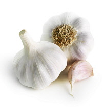 Garlic, Allium sativum.