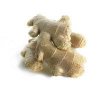 Ginger, Zingiber officinale.