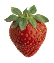 Strawberry, Fragaria.