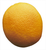 Orange, Citrus sinensis.