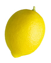 Lemon, Citrus limon.