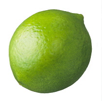 Lime, Citrus aurantiifolia.