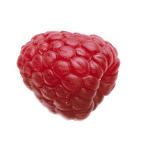 Raspberry, Rubus idaeus.