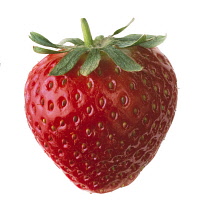 Strawberry, Fragaria.