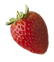 Strawberry, Fragaria.