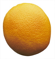 Orange, Citrus sinensis.