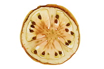 Tomato, Lycopersicon esculentum.