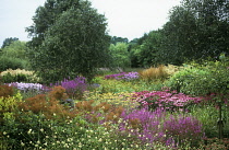 Pensthorpe gardens.