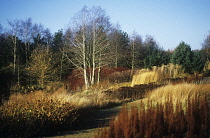 Pensthorpe gardens.