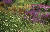 Pensthorpe gardens.