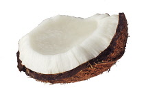 Coconut, Cocos nucifera.