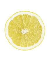 Lemon, Citrus limon.