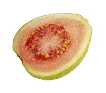 Guava, Psidium guajava.