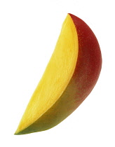 Mango, Mangifera indica.