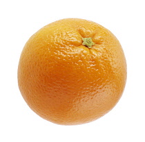 Orange, Citrus sinensis.