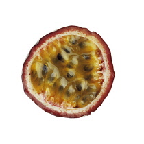 Passion fruit, Passiflora edulis.