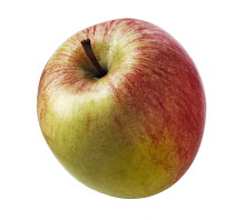 Apple, Malus domestica 'Braeburn'.