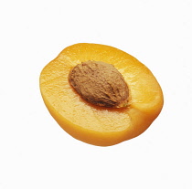 Apricot, Prunus armeniaca.