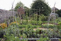 Vegetable garden.