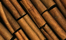 Cinnamon, Cinnamomum verum.