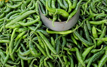Jalapeno chilli, Capsicum annuum. Green chillies for sale in the market. Mexico, Veracruz, Papantla,