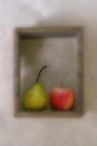 Apple and Pear. Digitally manipulated image of apple and pear within wooden frame against muted, softened background to create effect of illustration.