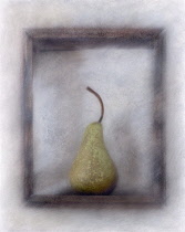 Pear, Pyrus communis cultivar. Digitally manipulated image of pear within wooden frame against muted, softened background to create effect of illustration.