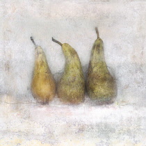 Pear, Pyrus communis cultivar. Digitally manipulated image of three pears against muted, softened background to create effect of illustration.