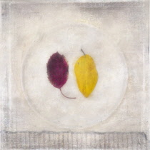 Digitally manipulated image of one red and one yellow leaf placed beside each other within a circle on softened, muted background creating the effect of illustration.