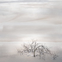Digitally manipulated image of tree branches with the appearance that they are rising from cloud or water with soft, muted background colour and pearlescent light.