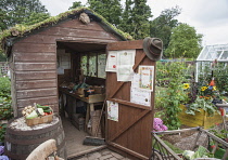 Allotment. Hampton Court, 2009. Winchester Growers, The Growing Tastes allotment garden with open shed with planted, living roof, displaying prizes for growing on door, raised beds and harvested produ...