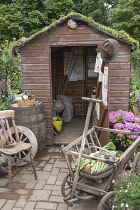 Allotment, Hampton Court 2009. Winchester Growers, The Growing Tastes allotment garden with open shed with planted living roof, display of harvested produce and growing Hydrangea.