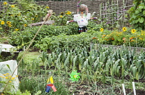 Allotment. Hampton Court, 2009. Winchester Growers, The Growing Tastes allotment garden with scarecrow standing in vegetable beds growing leeks, onions, potatoes and runner beans.