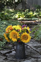 Sunflower, Helianthus annuus, bouquet of flowers in an antique metal can in the garden.