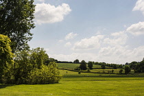 Meadow, view across typical English country landscape.