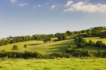 Meadow, view across typical english landscape with blue sky.